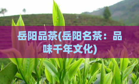 岳阳品茶(岳阳名茶：品味千年文化)  第1张