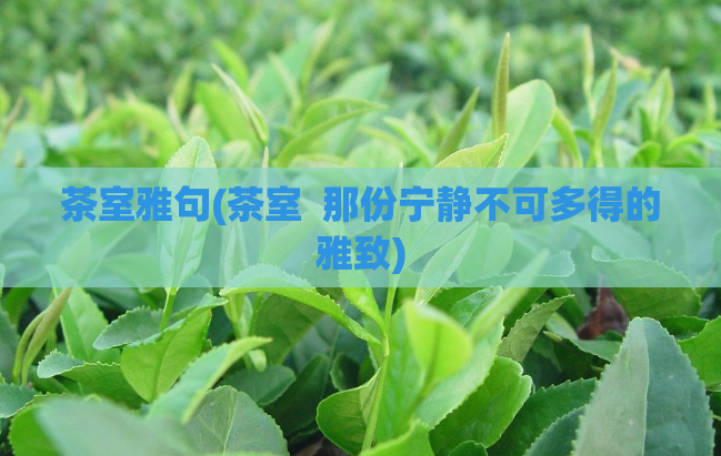 茶室雅句(茶室  那份宁静不可多得的雅致) 第1张