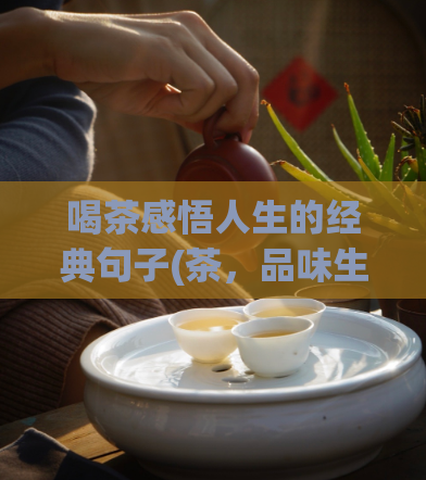 喝茶感悟人生的经典句子(茶，品味生命的精华)  第1张