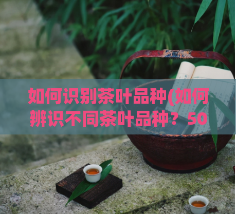 如何识别茶叶品种(如何辨识不同茶叶品种？50字以内)  第1张