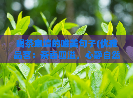 喝茶意境的唯美句子(优雅品茗：茶香四溢，心静自然。)  第1张