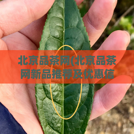 北京品茶网(北京品茶网新品推荐及优惠信息)  第1张