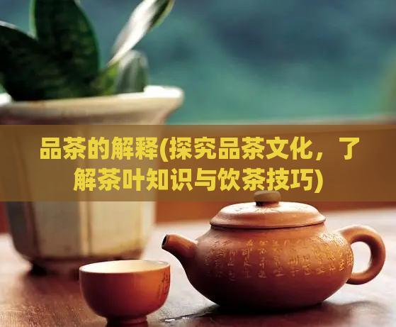 品茶的解释(探究品茶文化，了解茶叶知识与饮茶技巧)  第1张