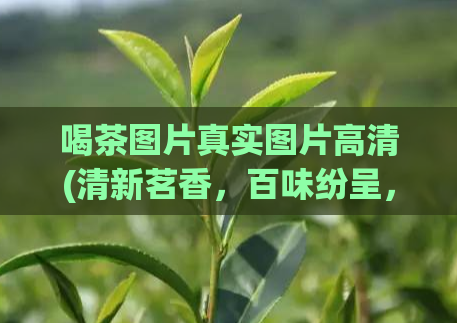 喝茶图片真实图片高清(清新茗香，百味纷呈，这些高清美图让你爱上喝茶)  第1张