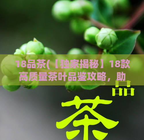 18品茶(【独家揭秘】18款高质量茶叶品鉴攻略，助您成为茶道高手)  第1张