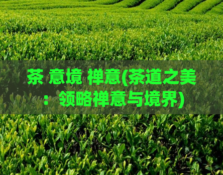 茶 意境 禅意(茶道之美：领略禅意与境界)  第1张