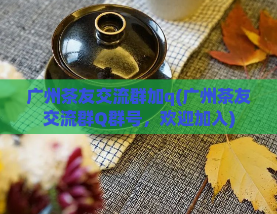 广州茶友交流群加q(广州茶友交流群Q群号，欢迎加入)  第1张