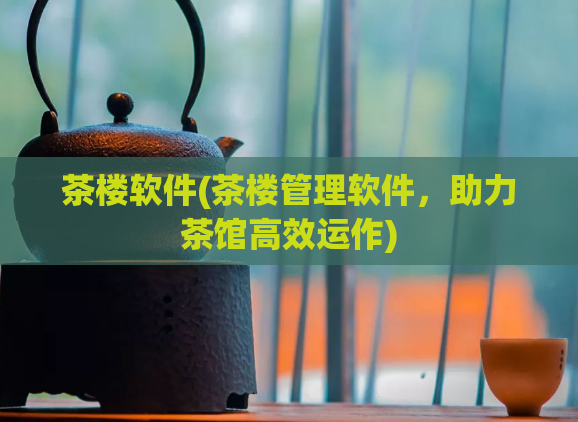 茶楼软件(茶楼管理软件，助力茶馆高效运作)  第1张