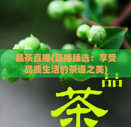 品茶直播(直播臻选：享受品质生活的茶道之美)  第1张