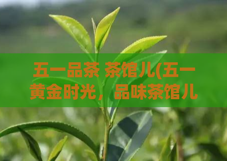 五一品茶 茶馆儿(五一黄金时光，品味茶馆儿的清幽雅致)  第1张