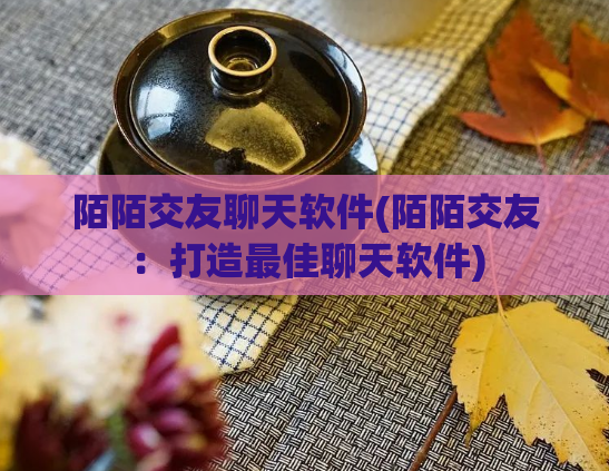 陌陌交友聊天软件(陌陌交友：打造最佳聊天软件)  第1张