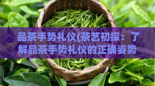 品茶手势礼仪(茶艺初探：了解品茶手势礼仪的正确姿势)  第1张