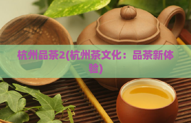 杭州品茶2(杭州茶文化：品茶新体验)  第1张