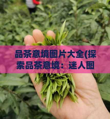 品茶意境图片大全(探索品茶意境：迷人图片集锦)  第1张