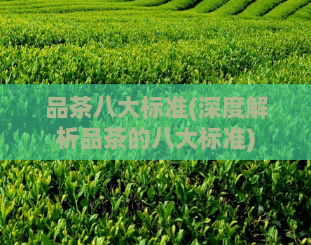 品茶八大标准(深度解析品茶的八大标准)  第1张