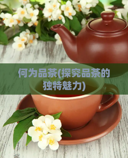 何为品茶(探究品茶的独特魅力)  第1张