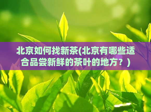 北京如何找新茶(北京有哪些适合品尝新鲜的茶叶的地方？)  第1张