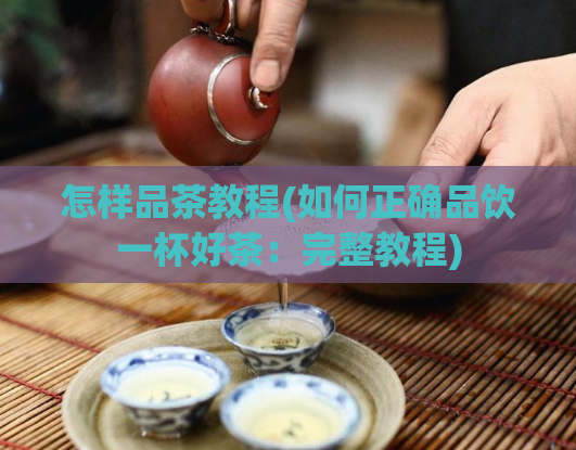 怎样品茶教程(如何正确品饮一杯好茶：完整教程)  第1张