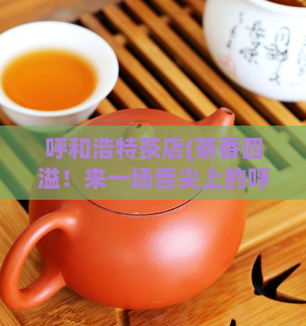 呼和浩特茶店(茶香四溢！来一场舌尖上的呼和浩特茶文化之旅！)  第1张