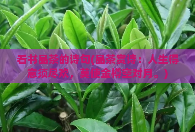 看书品茶的诗句(品茶赏诗：人生得意须尽欢，莫使金樽空对月。)  第1张