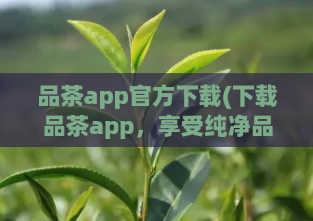 品茶app官方下载(下载品茶app，享受纯净品茶体验)  第1张