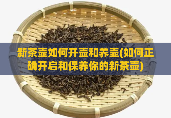 新茶壶如何开壶和养壶(如何正确开启和保养你的新茶壶)  第1张