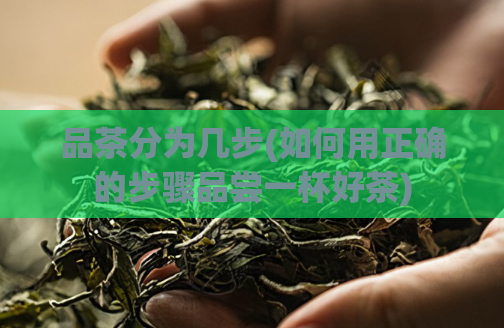 品茶分为几步(如何用正确的步骤品尝一杯好茶)  第1张