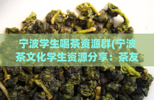 宁波学生喝茶资源群(宁波茶文化学生资源分享：茶友联盟成立)  第1张