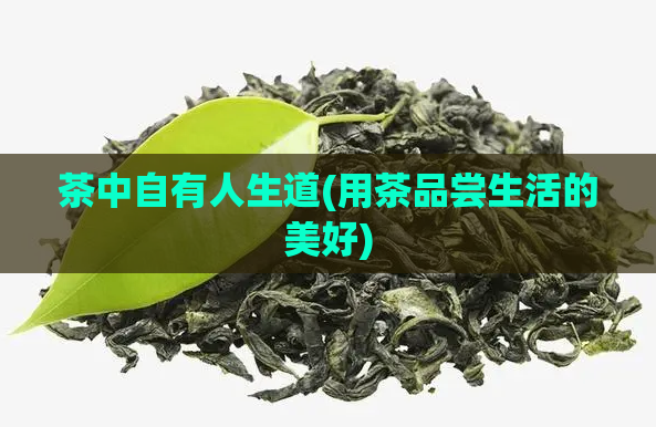 茶中自有人生道(用茶品尝生活的美好)  第1张