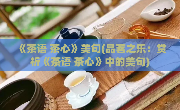 《茶语 茶心》美句(品茗之乐：赏析《茶语 茶心》中的美句)  第1张