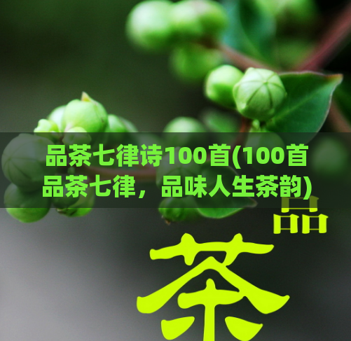 品茶七律诗100首(100首品茶七律，品味人生茶韵)  第1张