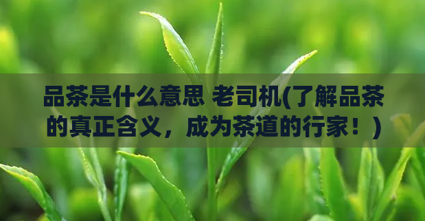 品茶是什么意思 老司机(了解品茶的真正含义，成为茶道的行家！)  第1张