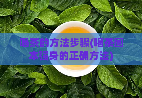 喝茶的方法步骤(喝茶固本强身的正确方法)  第1张