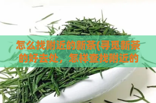 怎么找附近的新茶(寻觅新茶的好去处，怎样查找附近的新茶)  第1张