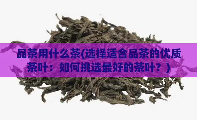 品茶用什么茶(选择适合品茶的优质茶叶：如何挑选最好的茶叶？)  第1张