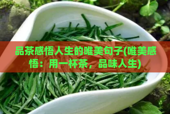 品茶感悟人生的唯美句子(唯美感悟：用一杯茶，品味人生)  第1张