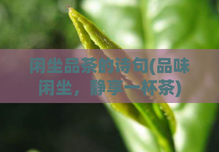 闲坐品茶的诗句(品味闲坐，静享一杯茶)  第1张