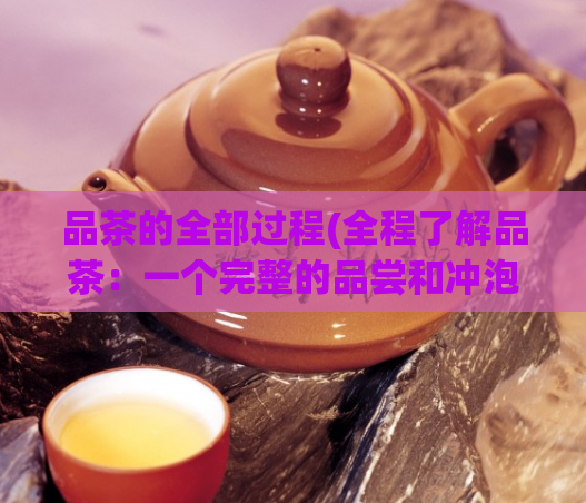 品茶的全部过程(全程了解品茶：一个完整的品尝和冲泡指南)  第1张