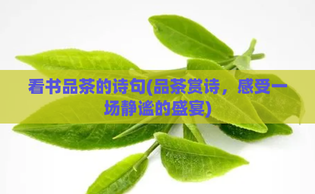 看书品茶的诗句(品茶赏诗，感受一场静谧的盛宴)  第1张