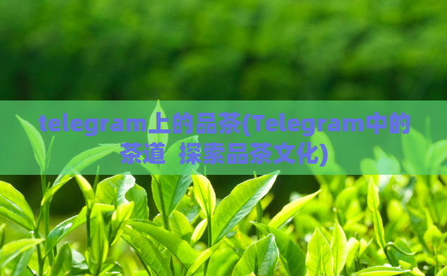 telegram上的品茶(Telegram中的茶道  探索品茶文化) 第1张