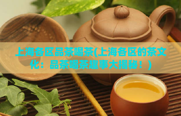 上海各区品茶喝茶(上海各区的茶文化：品茶喝茶趣事大揭秘！)  第1张