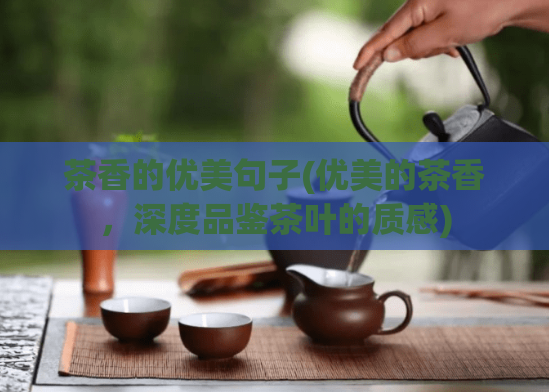 茶香的优美句子(优美的茶香，深度品鉴茶叶的质感)  第1张