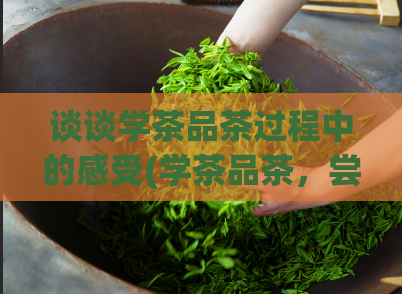 谈谈学茶品茶过程中的感受(学茶品茶，尝遍茶香不枉此生)  第1张