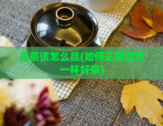 品茶该怎么品(如何正确品饮一杯好茶)  第1张