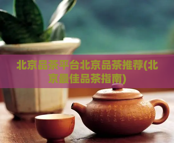 北京品茶平台北京品茶推荐(北京最佳品茶指南)  第1张