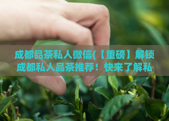 成都品茶私人微信(【重磅】解锁成都私人品茶推荐！快来了解私人微信！)  第1张