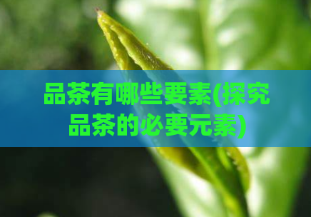 品茶有哪些要素(探究品茶的必要元素)  第1张