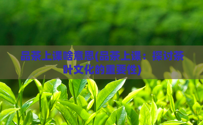 品茶上课啥意思(品茶上课：探讨茶叶文化的重要性)  第1张