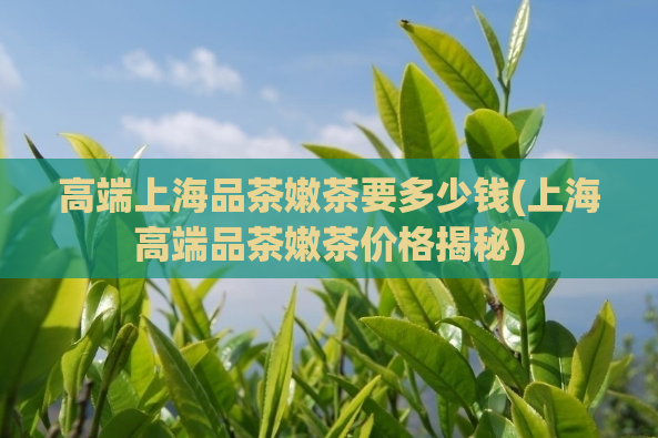 高端上海品茶嫩茶要多少钱(上海高端品茶嫩茶价格揭秘)  第1张