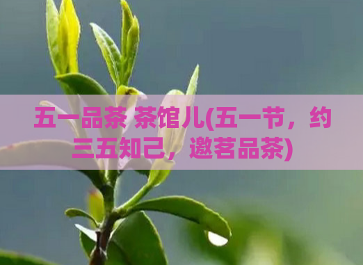 五一品茶 茶馆儿(五一节，约三五知己，邀茗品茶)  第1张